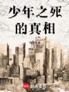 少年之死的真相