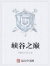 峡谷之巅